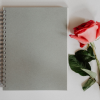 cuaderno aromatico 2